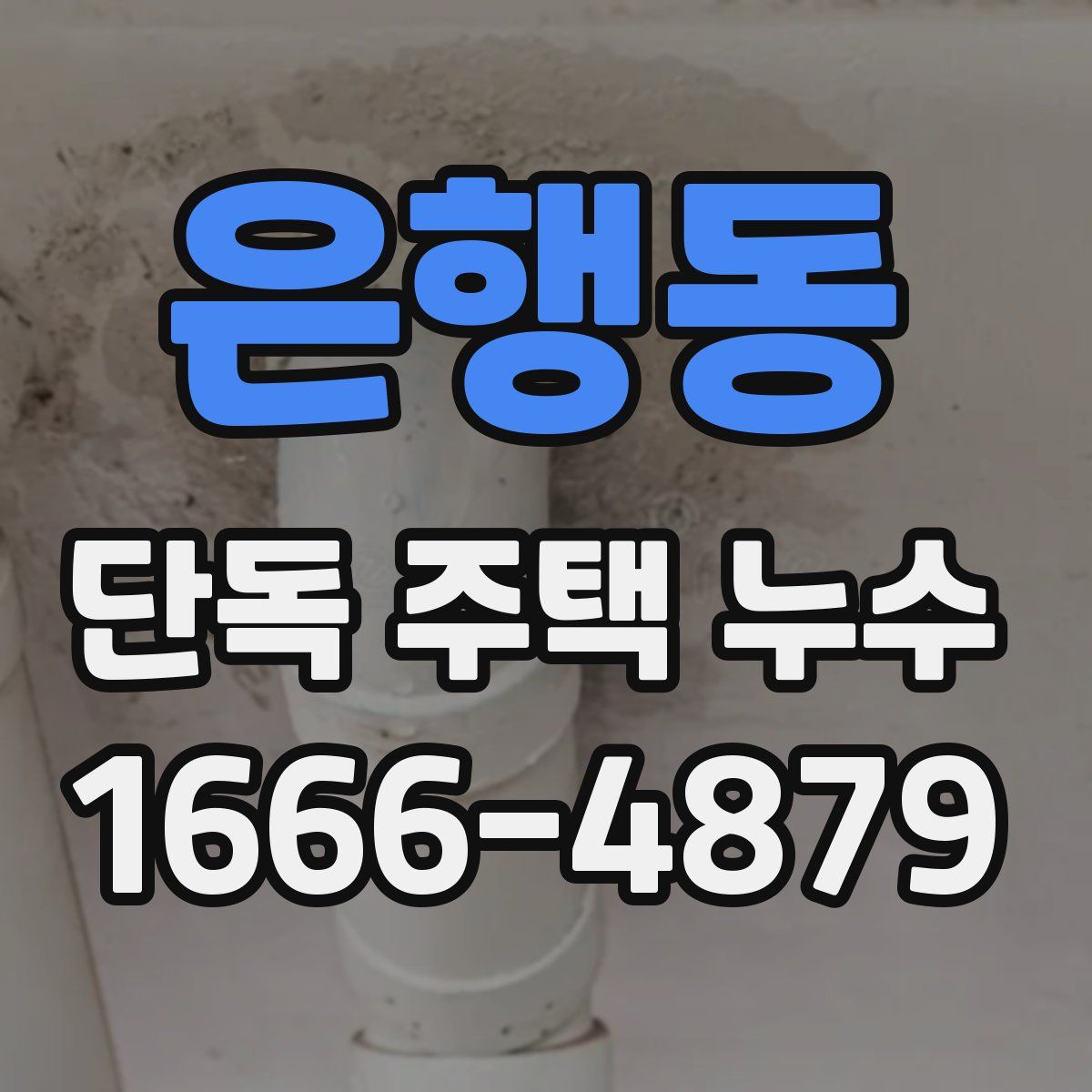 은행동 단독 주택 누수
