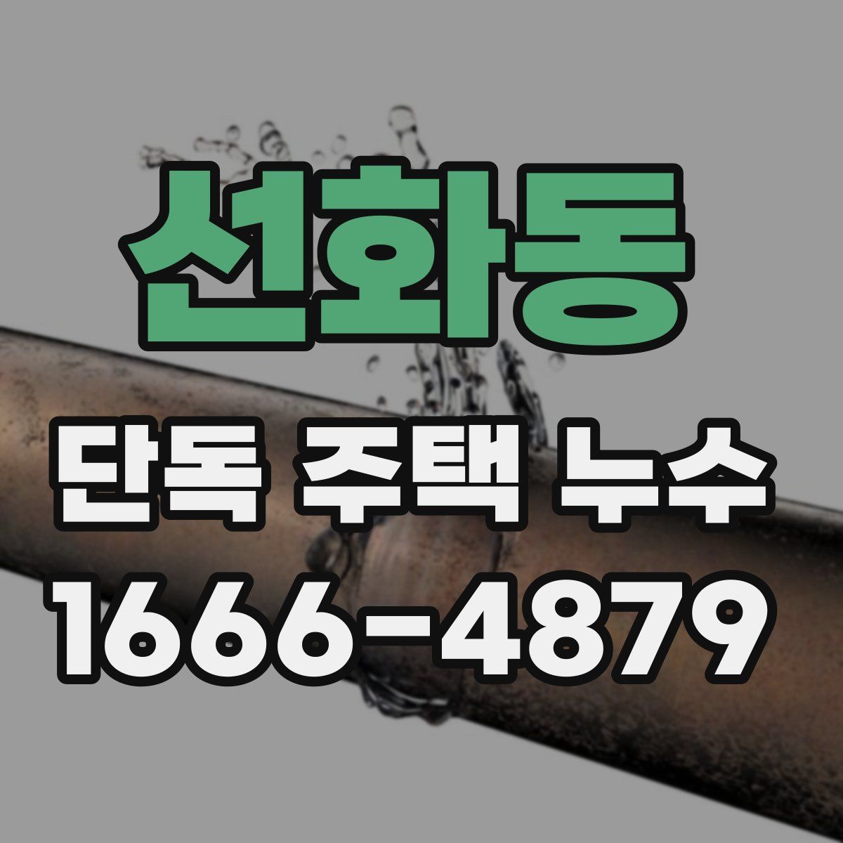 선화동 단독 주택 누수