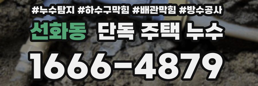 선화동 단독 주택 누수