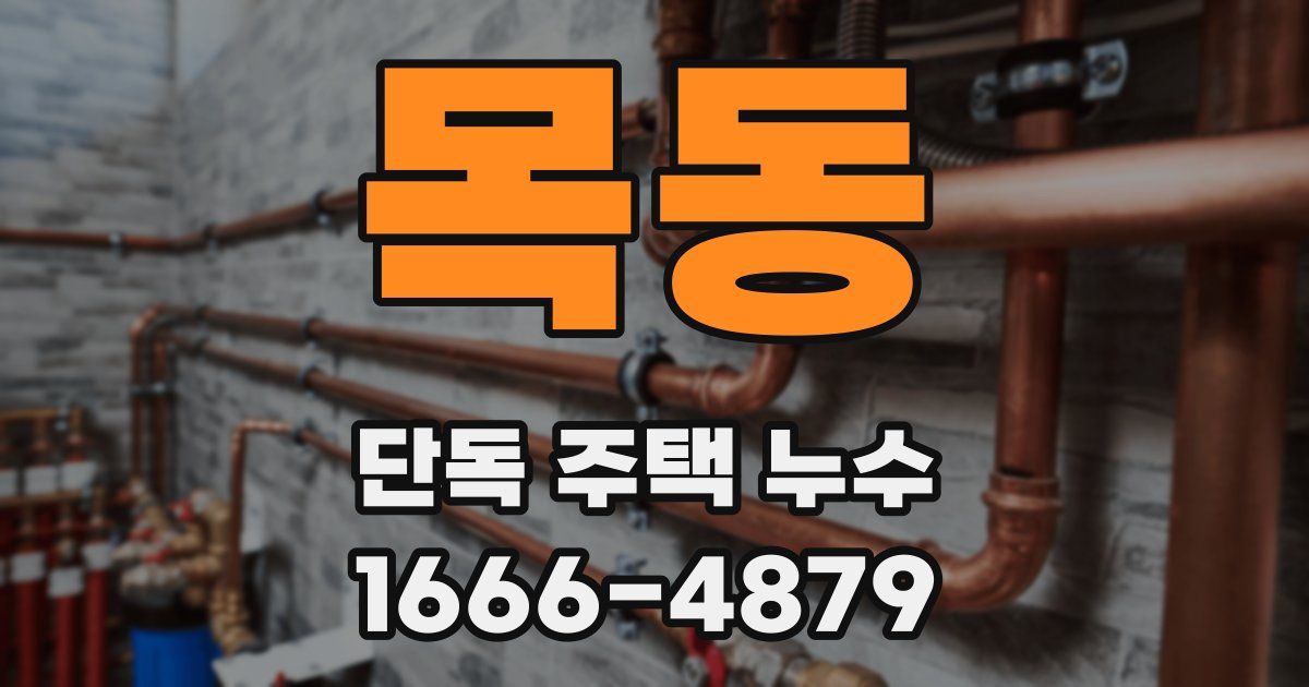 목동 단독 주택 누수