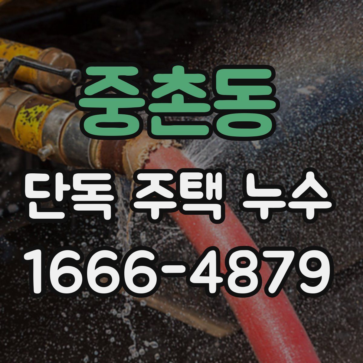 중촌동 단독 주택 누수