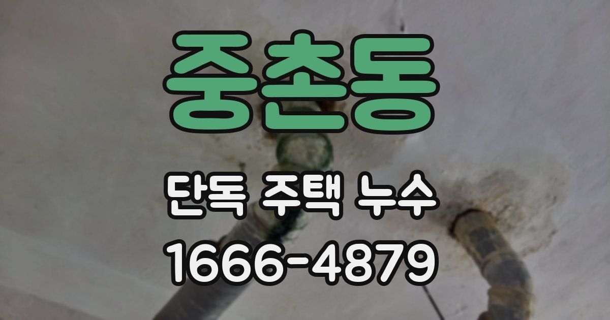 중촌동 단독 주택 누수