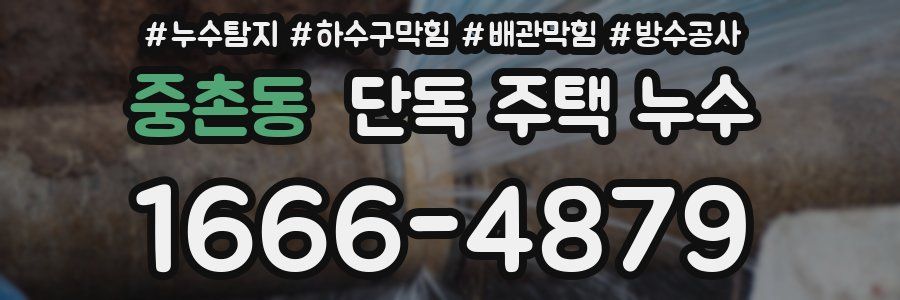 중촌동 단독 주택 누수