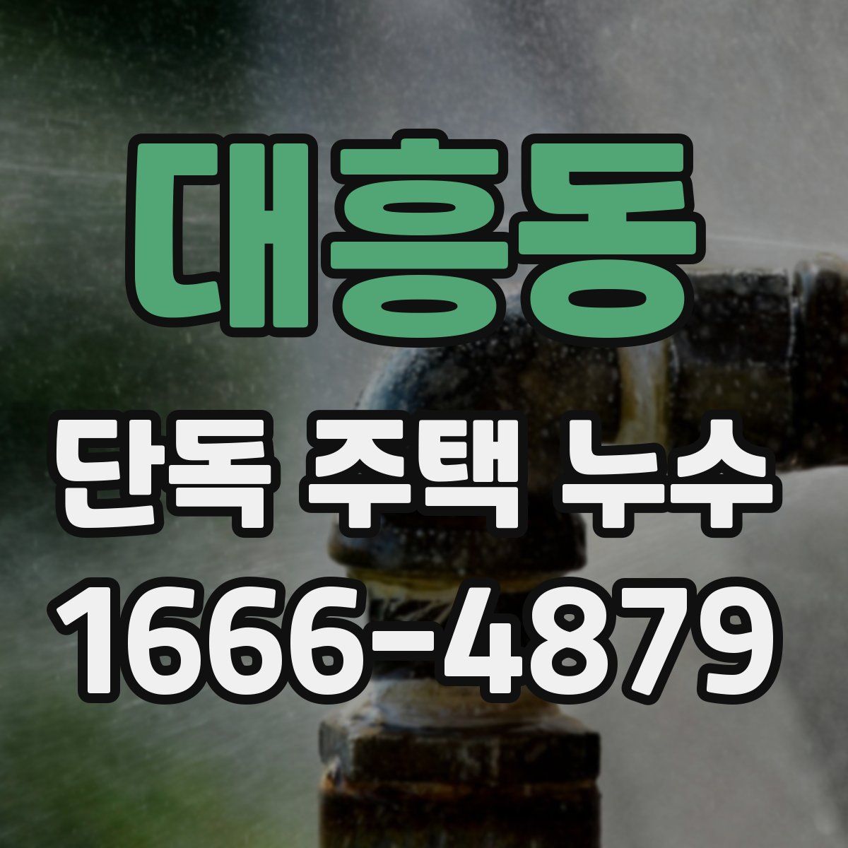 대흥동 단독 주택 누수
