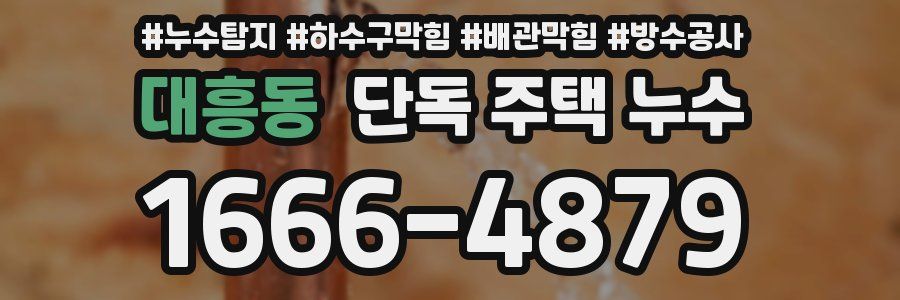 대흥동 단독 주택 누수