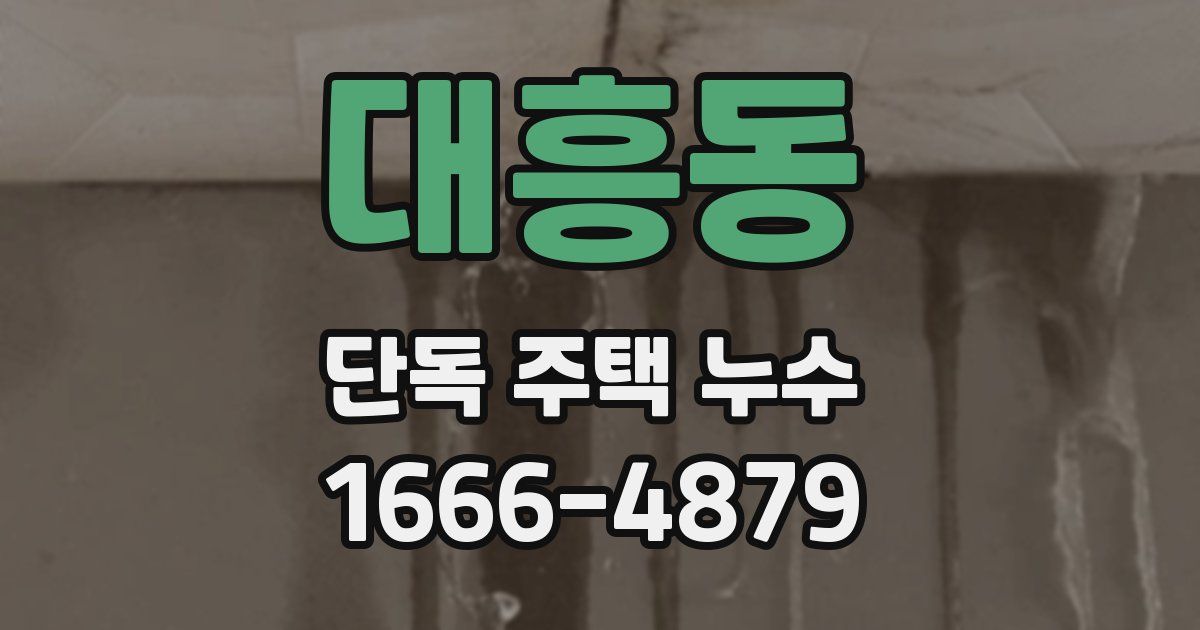 대흥동 단독 주택 누수
