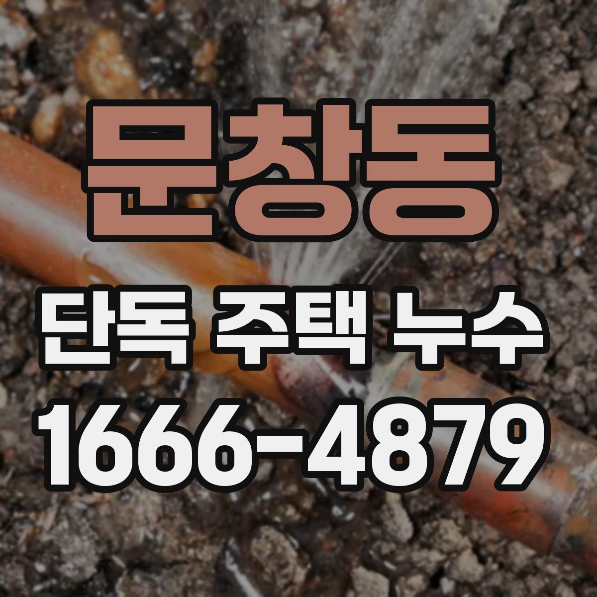 문창동 단독 주택 누수