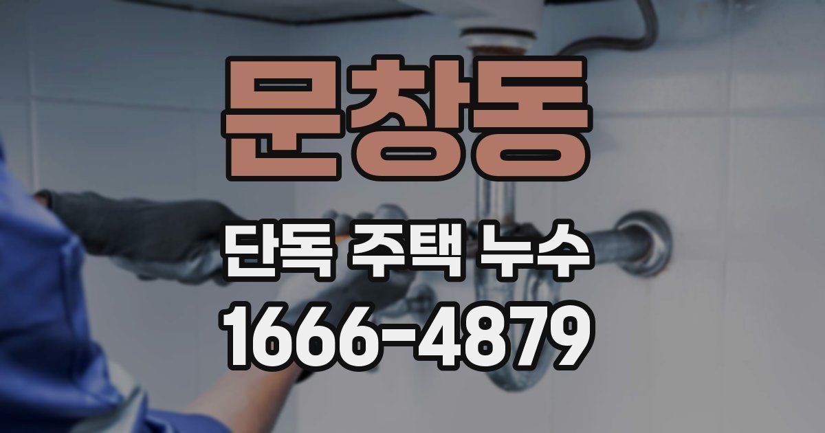 문창동 단독 주택 누수