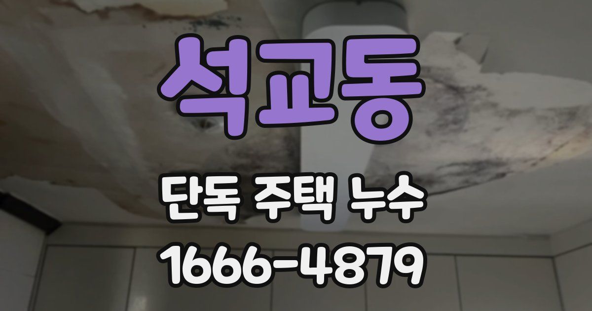 석교동 단독 주택 누수
