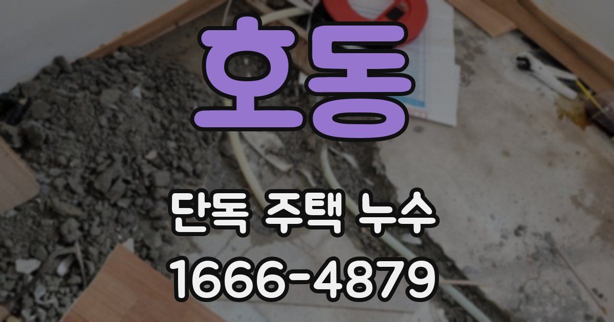 호동 단독 주택 누수