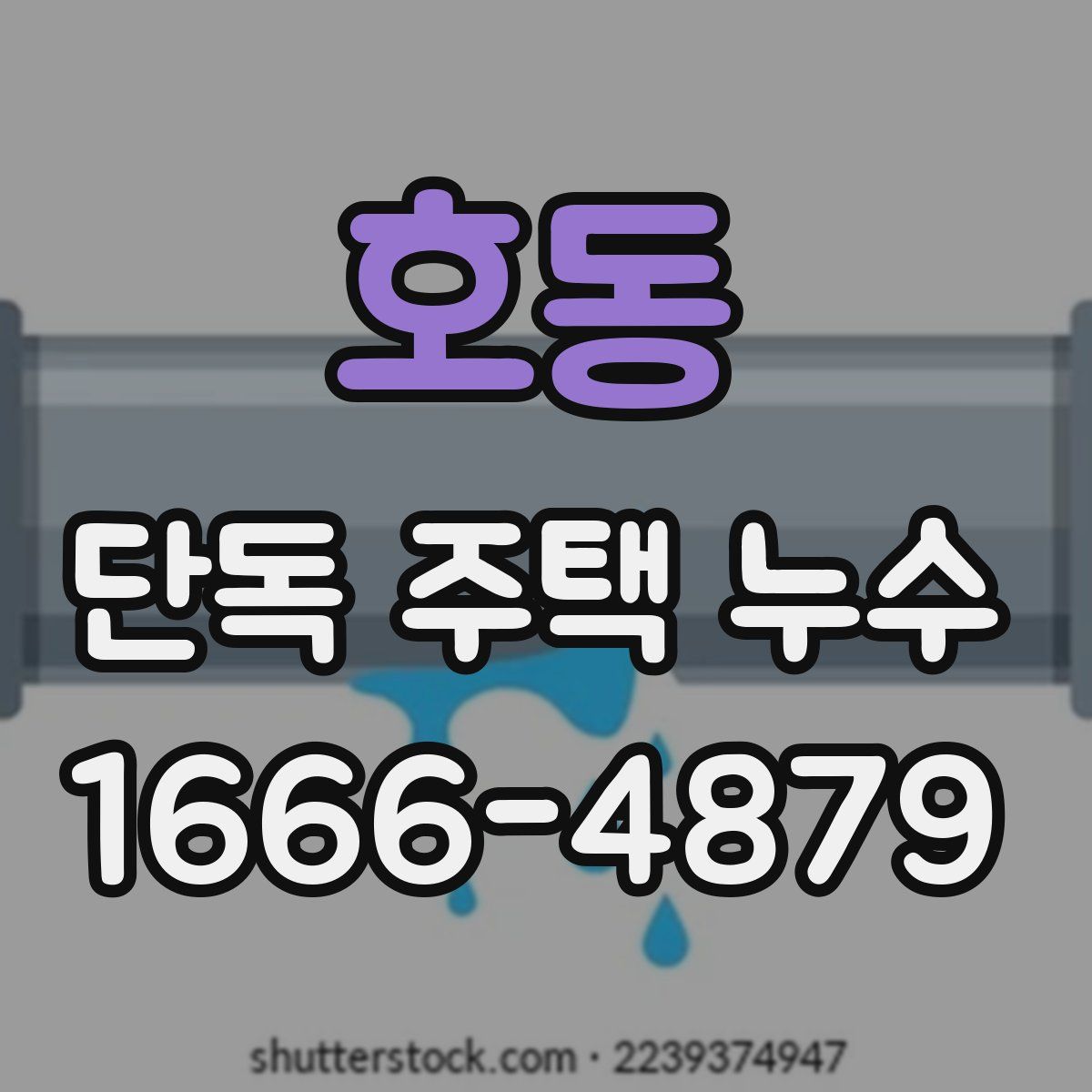호동 단독 주택 누수
