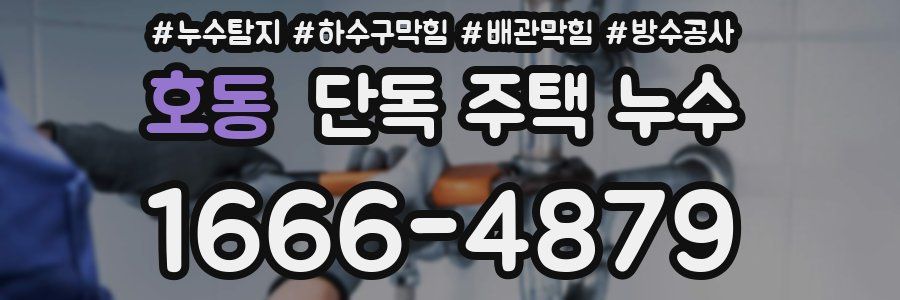 호동 단독 주택 누수