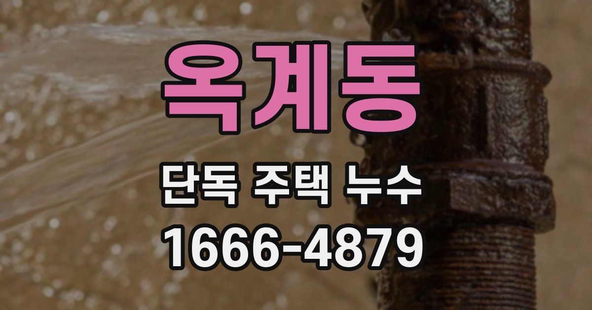 옥계동 단독 주택 누수