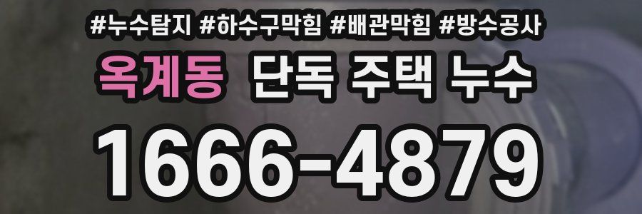 옥계동 단독 주택 누수