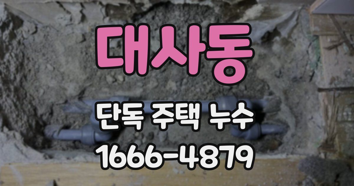 대사동 단독 주택 누수