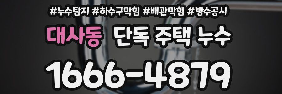 대사동 단독 주택 누수