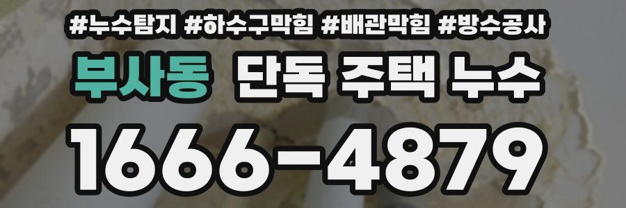 부사동 단독 주택 누수