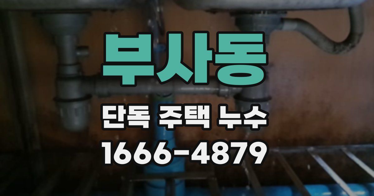 부사동 단독 주택 누수