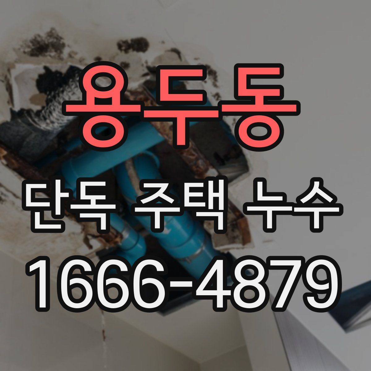 용두동 단독 주택 누수