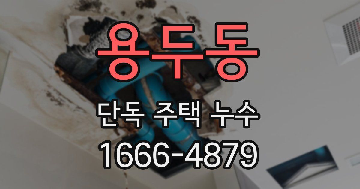용두동 단독 주택 누수