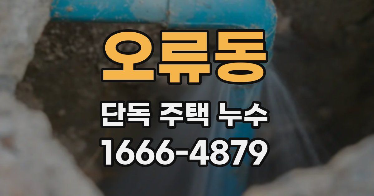 오류동 단독 주택 누수