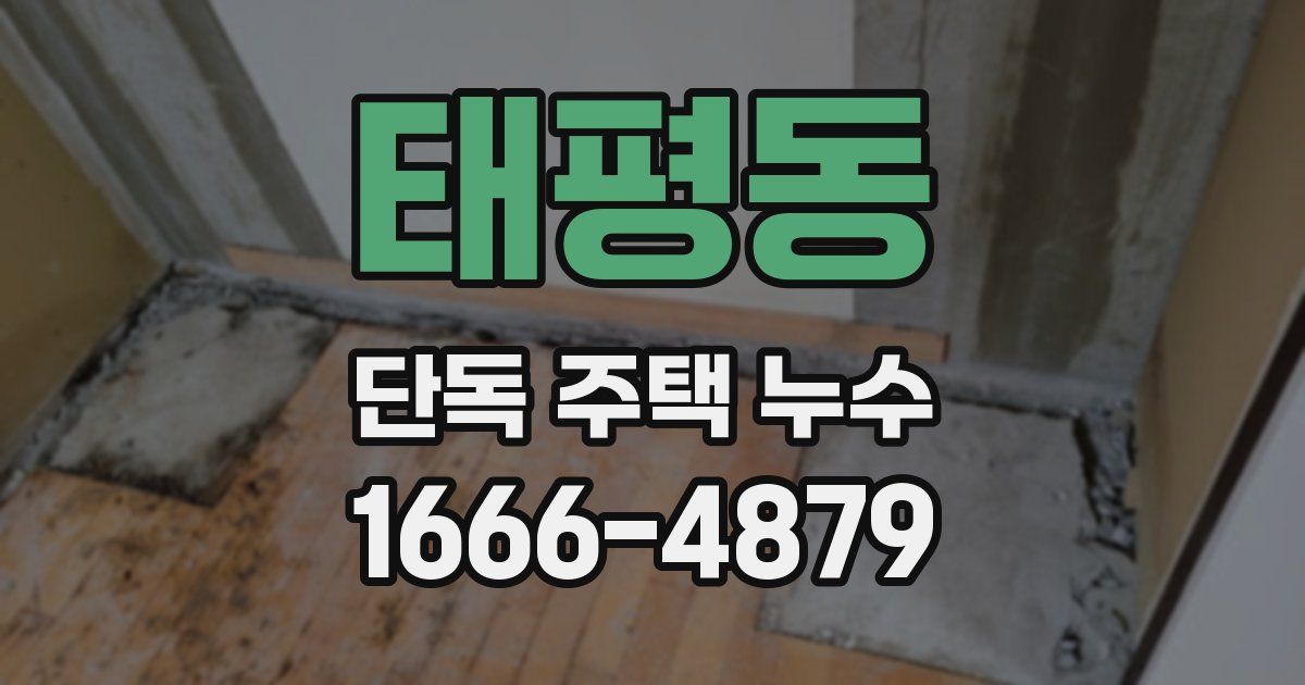 태평동 단독 주택 누수