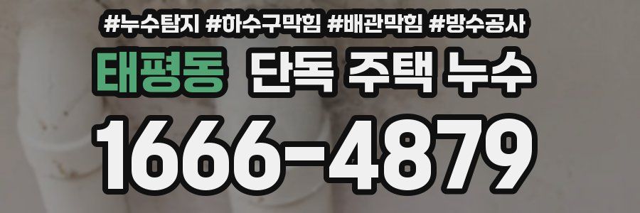 태평동 단독 주택 누수
