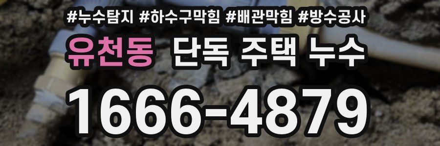 유천동 단독 주택 누수