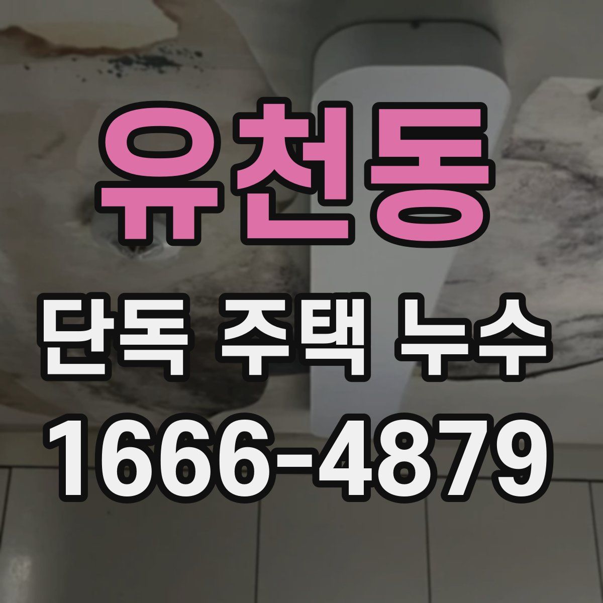 유천동 단독 주택 누수