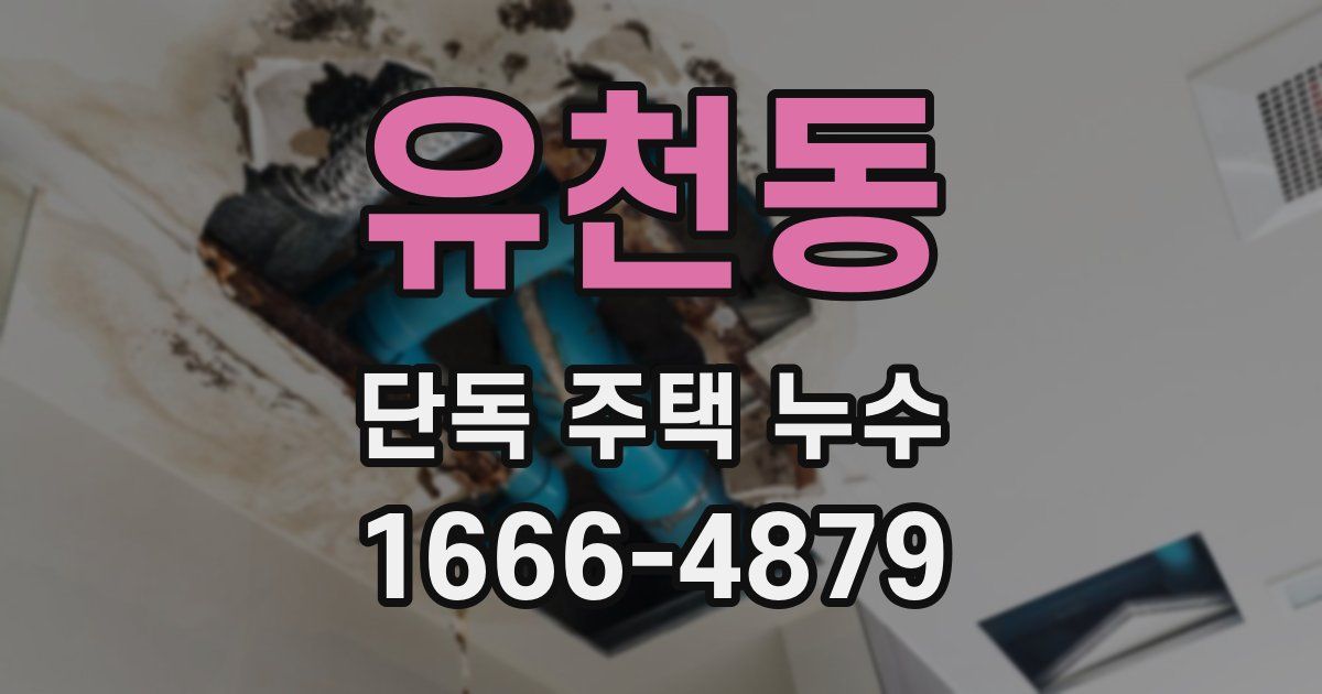 유천동 단독 주택 누수