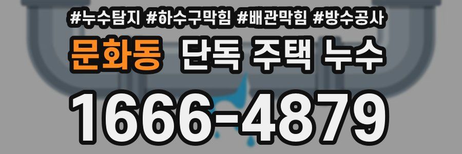 문화동 단독 주택 누수