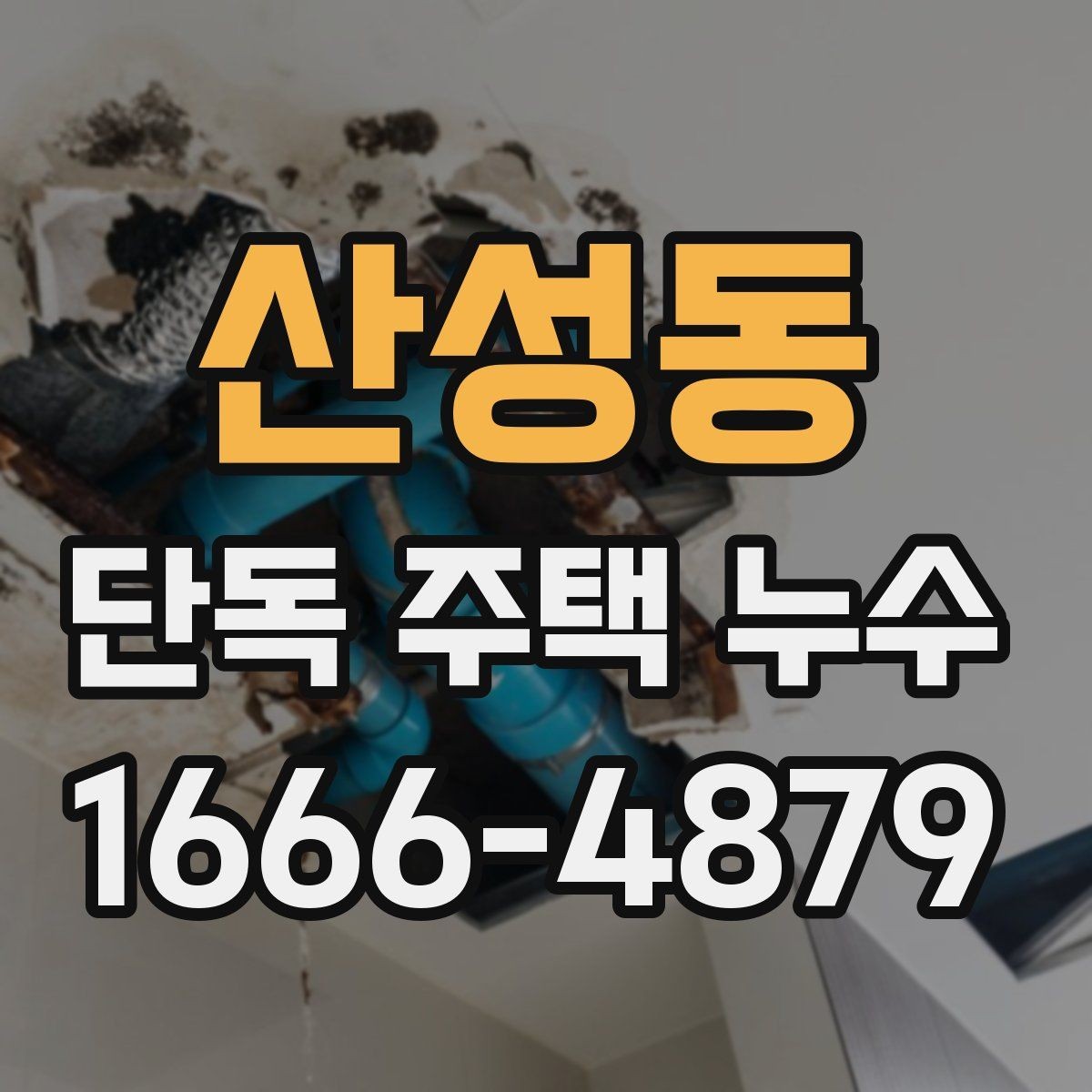 산성동 단독 주택 누수 의심 시 확인할 부분
