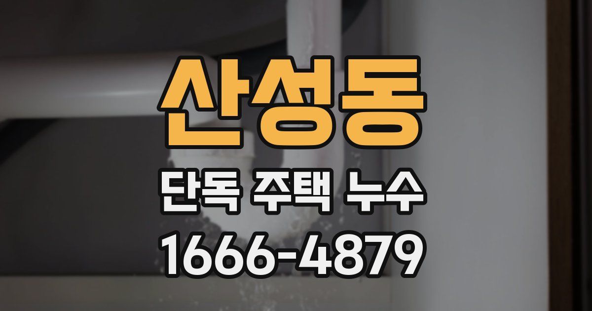 산성동 단독 주택 누수