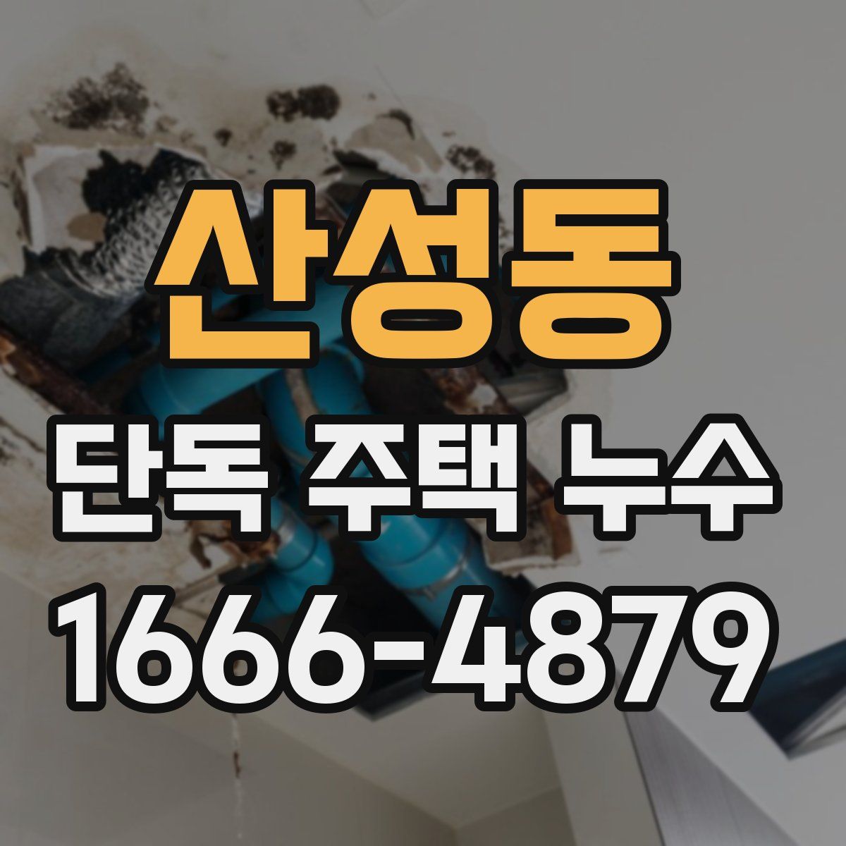 산성동 단독 주택 누수