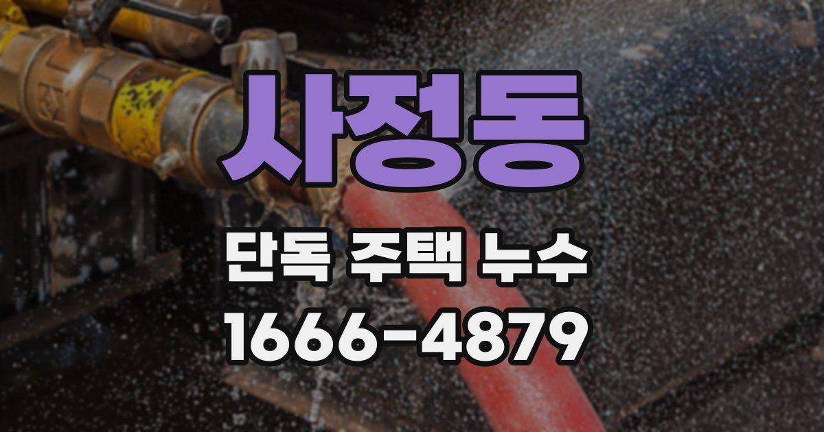 사정동 단독 주택 누수