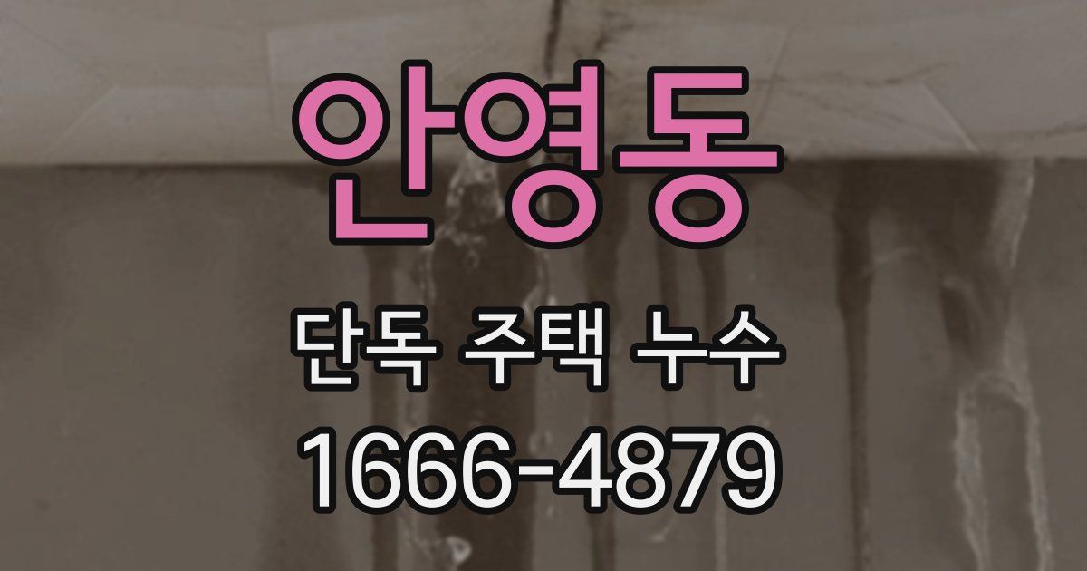 안영동 단독 주택 누수