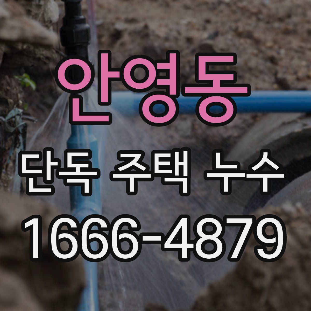 안영동 단독 주택 누수