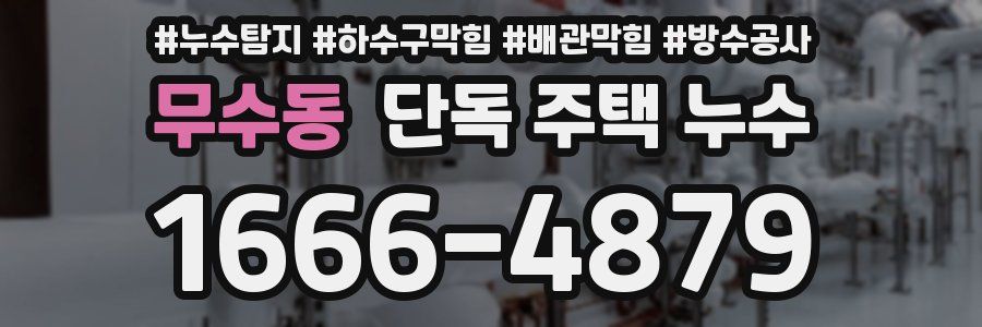 무수동 단독 주택 누수