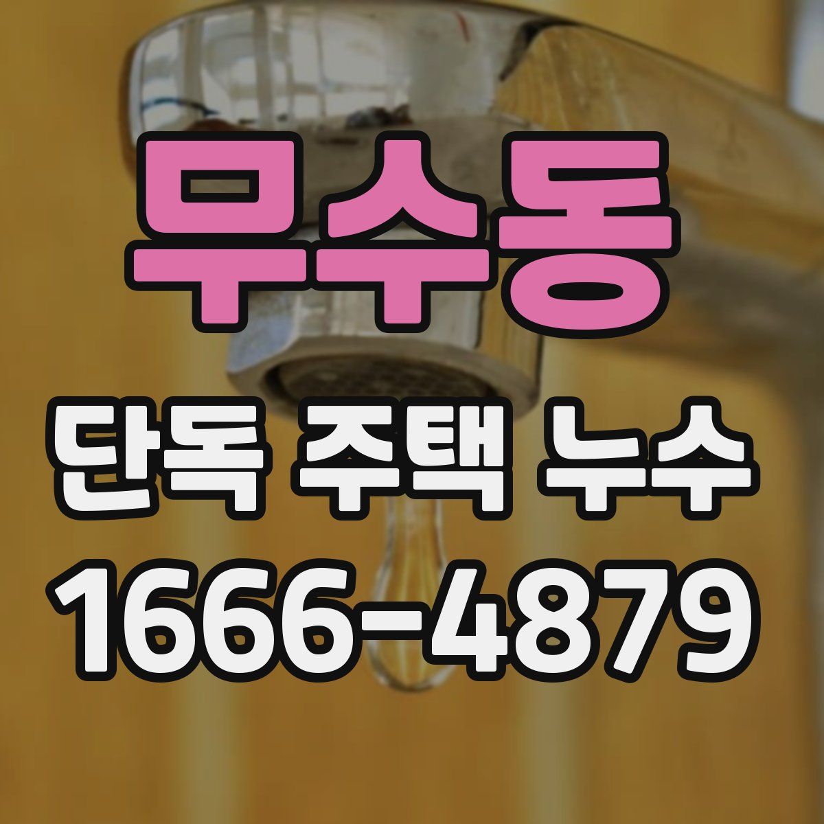무수동 단독 주택 누수