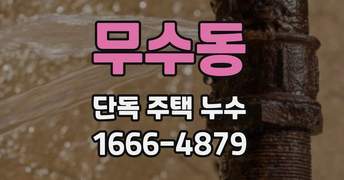 무수동 단독 주택 누수