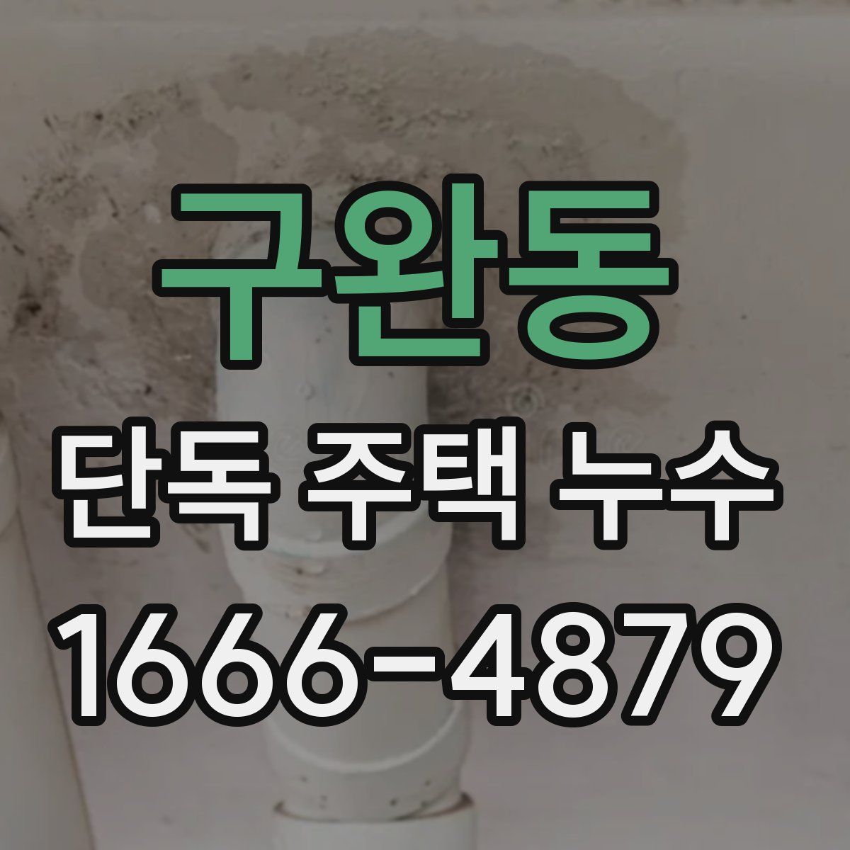 구완동 단독 주택 누수