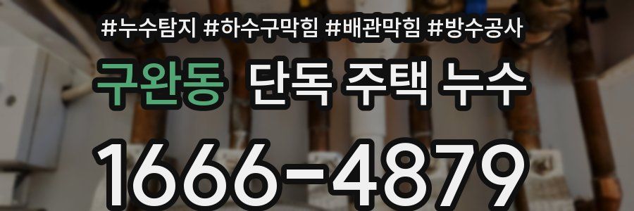 구완동 단독 주택 누수