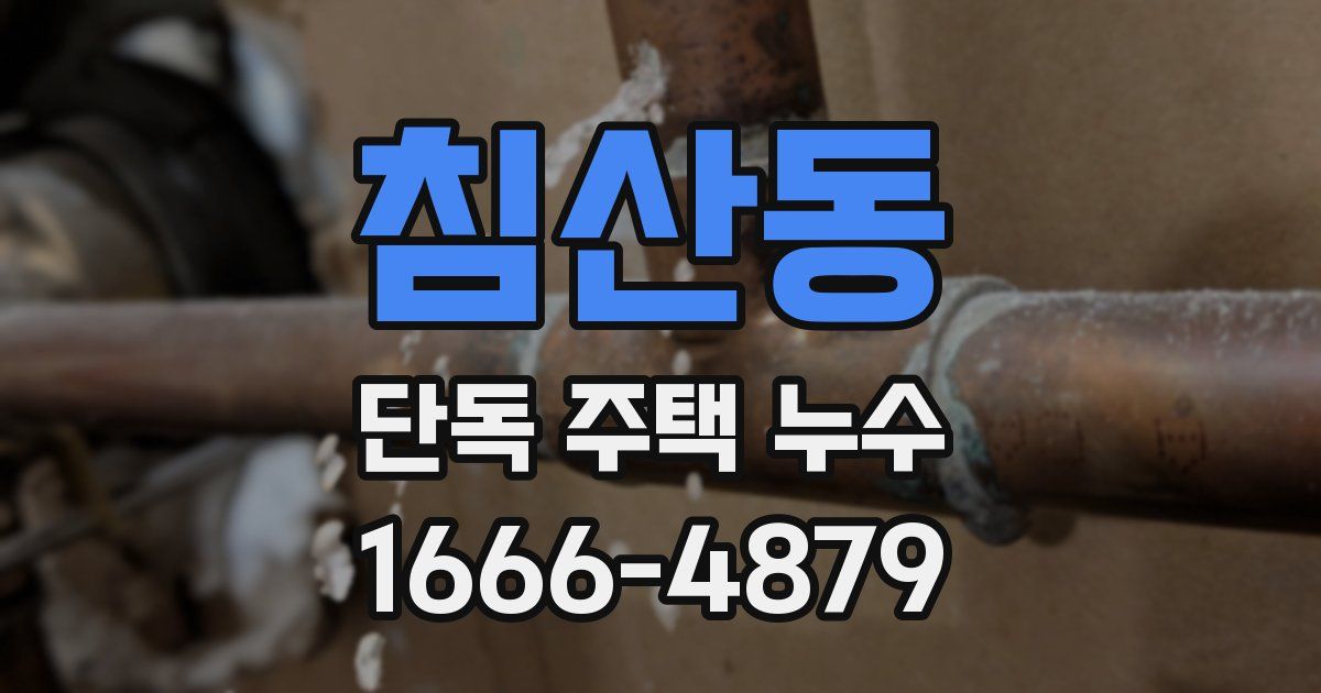 침산동 단독 주택 누수