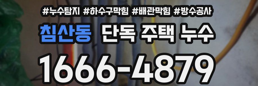 침산동 단독 주택 누수