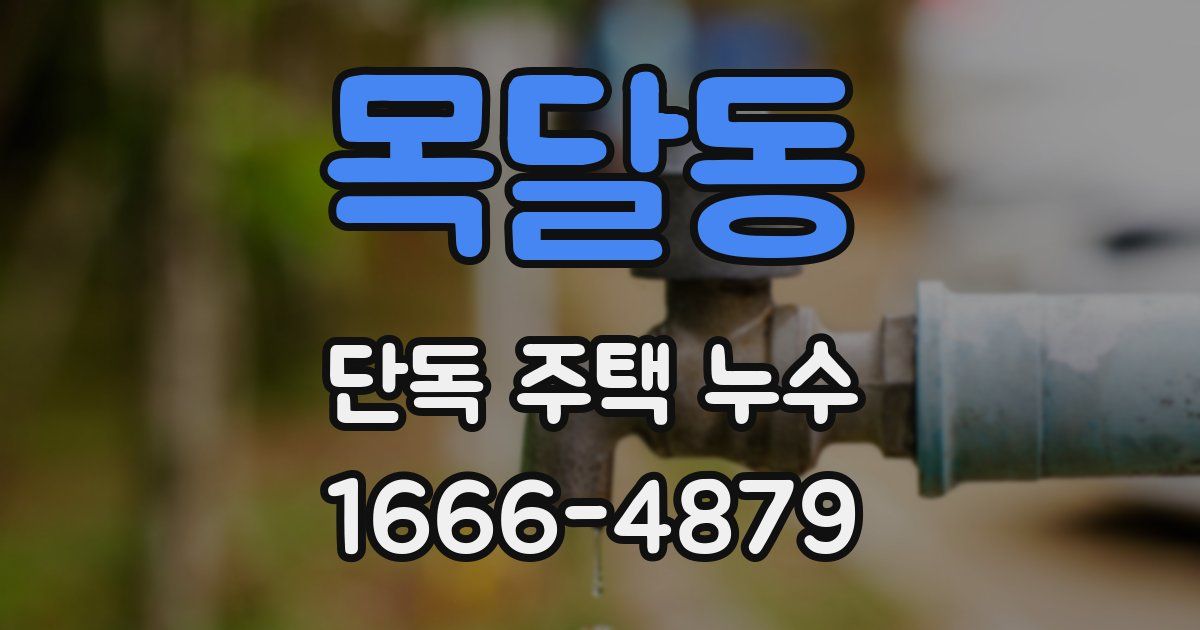 목달동 단독 주택 누수