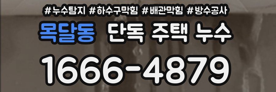 목달동 단독 주택 누수