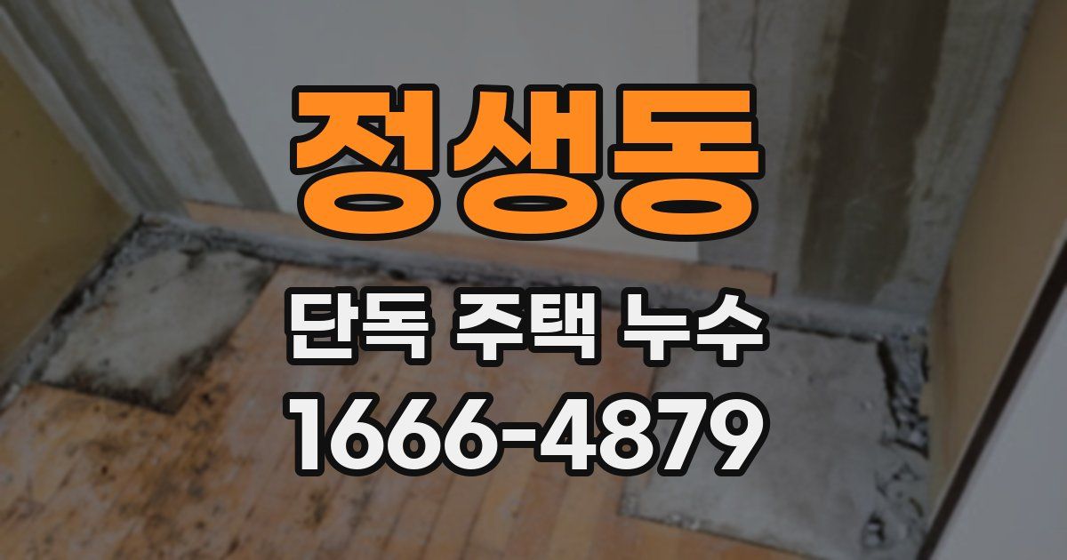 정생동 단독 주택 누수