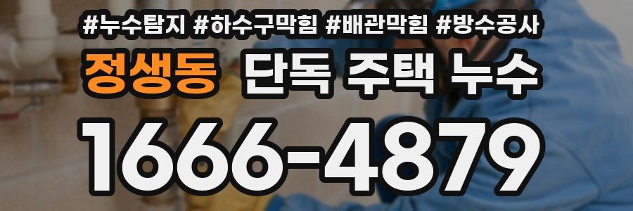 정생동 단독 주택 누수