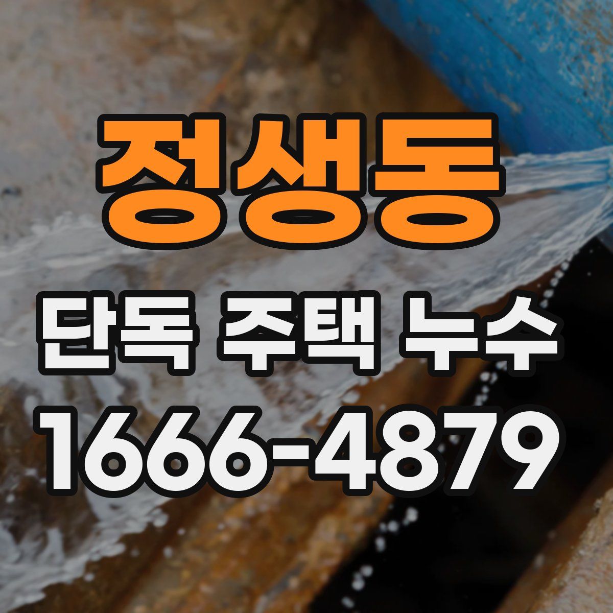 정생동 단독 주택 누수