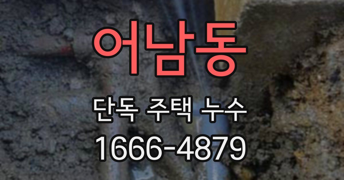 어남동 단독 주택 누수